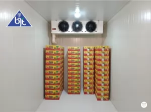 Memilih Cold Room yang Tepat: Tips untuk Efisiensi dan Hemat Energi